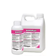 Boroplus 1 l