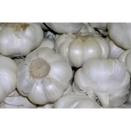 Arpagic Usturoi 5 kg