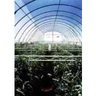 Folie TVK 8,5 m lat 0,15 UV 2 ani S2N tăiat la măsură