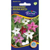 Nicotiana alata (Regina nopţii) amestec de culori 1 gr