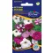 Petunia cu flori mici, amestec de culori 0,125 gr