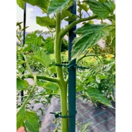   Stâlp din oțel acoperit  cu plastic "Steel plast" 0,6 m (8mm)