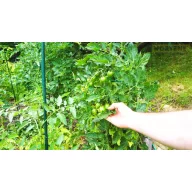   Stâlp din oțel acoperit  cu plastic "Steel plast" 0,6 m (8mm)