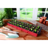 Seră mini Growing KIT