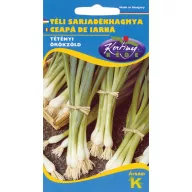 Ceapă de stufat de iarnă Bajkál 2g