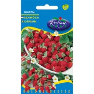 Căpșuni Rügen 0,2 g