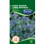 Borage grădină 1 g