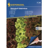   Bandă cu semințe de amestec de Salate Salatwiese Kiepenkerl 4x2,5m