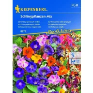Mix de plante târâtoare, 25 seminţe, Kiepenkerl