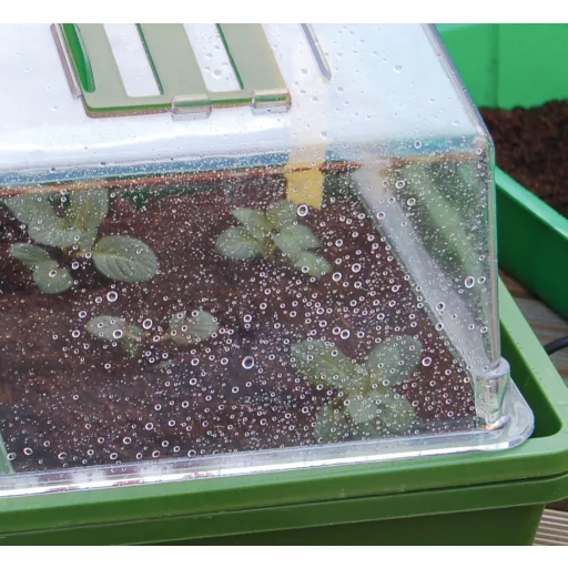 Mini seră poate fi încălzită "Heating Grow" 39x25x20 cm