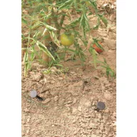   Spin cu vârf ascuțit pentru fixarea foliei de mol, geotextil "Spike" 20 buc