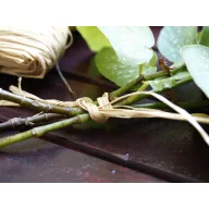 Sfoară de rafie natural 500g