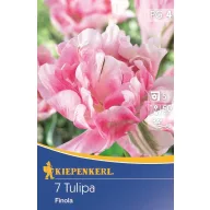 Bulbi de Lalele, plini, Kiepenkerl Finola 7 buc.