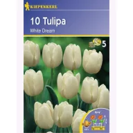 Bulbi de Lalele, Triumf, Kiepenkerl  White Dream 10 buc.