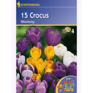 Bulbi de flori crocus flori mari, Kiepenkerl Mix 15 buc