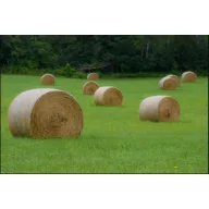 Semințe de iarbă amestec luncă Greenland 25 kg