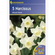 Bulbi de narcis Kiepenkerl Muntele Hood 5 buc