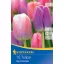 Bulbi de Lalele Darwin-hybrid, Kiepenkerl Big Pride Mix 10 buc.