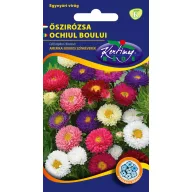   Steluţe de toamnă (Aster) American tufiş, amestec de culori 1 gr