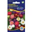Steluţe de toamnă (Aster) American tufiş, amestec de culori 1 gr