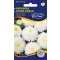 Steluţe de toamnă (Aster) Prinzess alb 1 gr