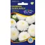 Steluţe de toamnă (Aster) Prinzess alb 1 gr