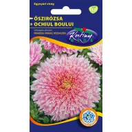 Steluţe de toamnă (Aster) Prinzess roz 1 gr