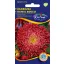 Steluţe de toamnă (Aster) Prinzess roşu 1 gr