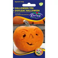Dovleac ornamental Halloween
