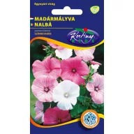 Nalbă pitică (Lavatera), amestec de culori