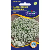 Lobularia maritima albă