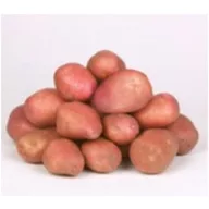   Tuberculi de cartofi trataţi "Desirée" 50 de buc.