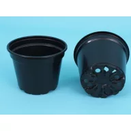 Ghiveci plastic de 9 cm (2340 buc/carton)