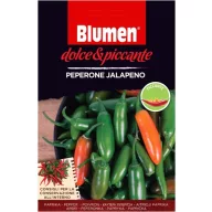 Ardei iute peperoni Jalapeno - iute (aprox. 10-20 semințe)
