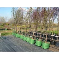 Container din material țesut  (pepinieră) poloneză 20 l