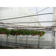 Plasă Raschel Dublu 9.4x50m 50g / m2 alb