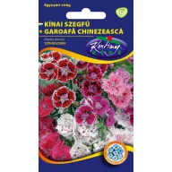 Garoafe chinezească amestec de culoare 2g