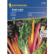 Mangold Bright Lights Kiepenkerl 30 semințe