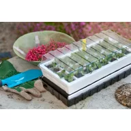 Set propagator (set de germinare) cu capac