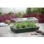 Propagator (Mini-sere) cu ventilație