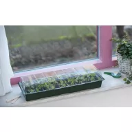 Tavă de germinare pentru fereastră