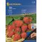 Căpșuni drajate Elan Kiepenkerl 10 semințe
