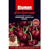 Pepperoni roșu jamaican Blumen (10–20 bucăți)