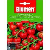 Tomate cireașă în ciorchine (Cherry cluster) Blumen 2g
