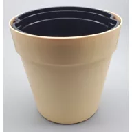  Olar decorativ vanilie 21 cm, cu ghivece de udare