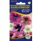 Petunia, amestec de flori mari 0,125 g