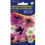 Petunia, amestec de flori mari 0,125 g