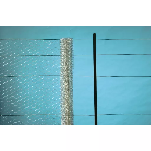 Grilă de păsări de curte Galvanex 19 0,5x10 m (19x0,7 mm)