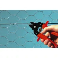 Grilă de păsări de curte Galvanex 19 1x10 m (19x0,7 mm)