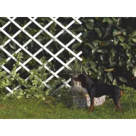 Grilă călugăriță plastic Trelliflex alb 0,5x1,5 m